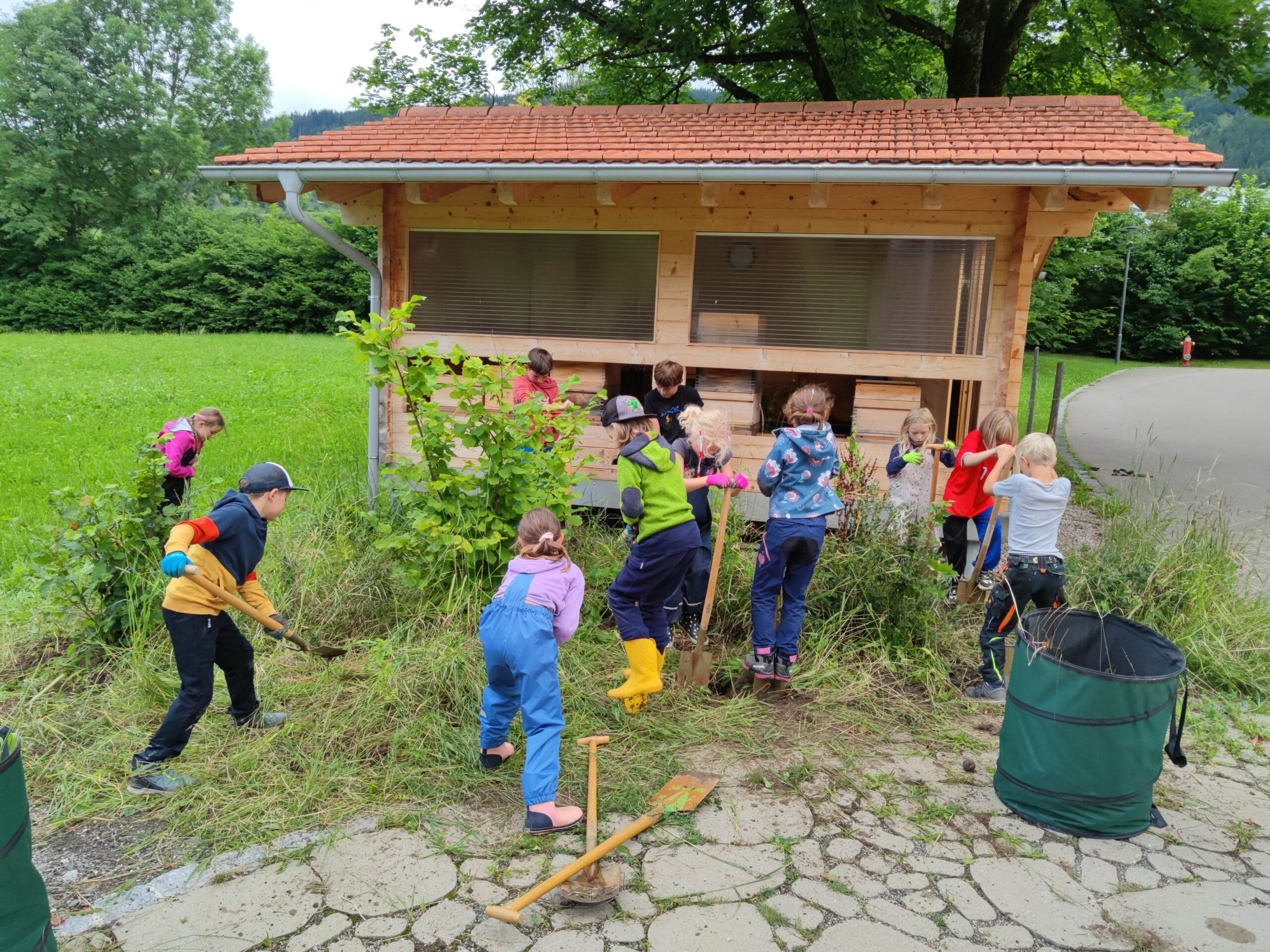 Mehr über den Artikel erfahren Unsere Bienen