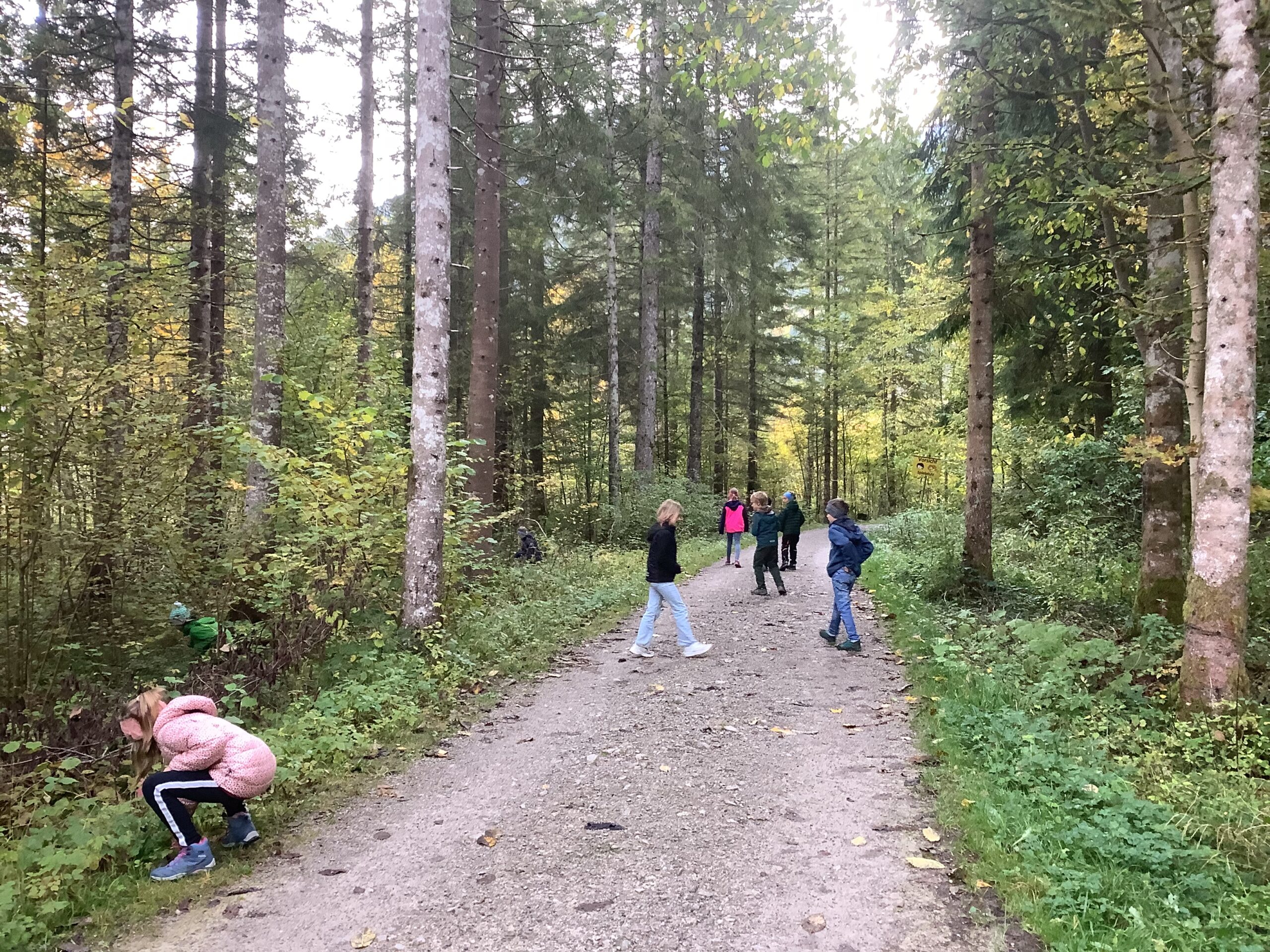 Du betrachtest gerade Waldausflug dritte Klassen