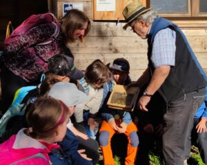 Mehr über den Artikel erfahren Die Bienen-AG